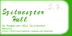 szilveszter hull business card